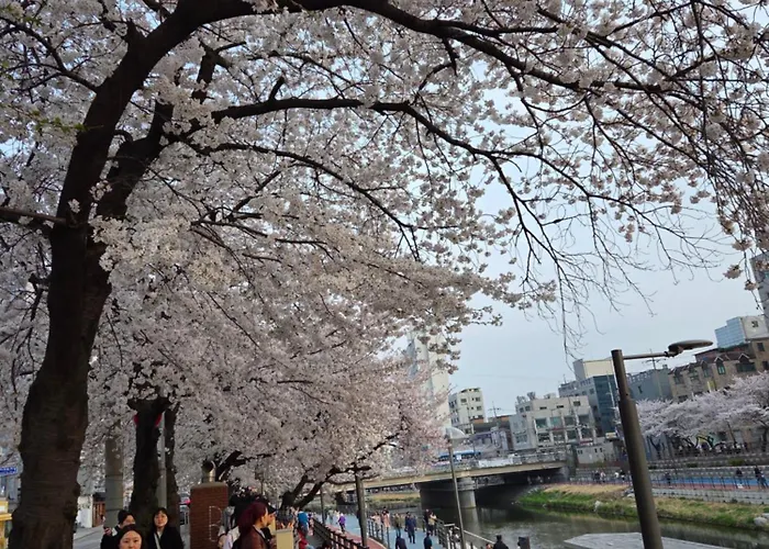 빌라 #mia Station 5분#airport Bus 6102 #long -term Sales #hongdae #myeongdong#강남